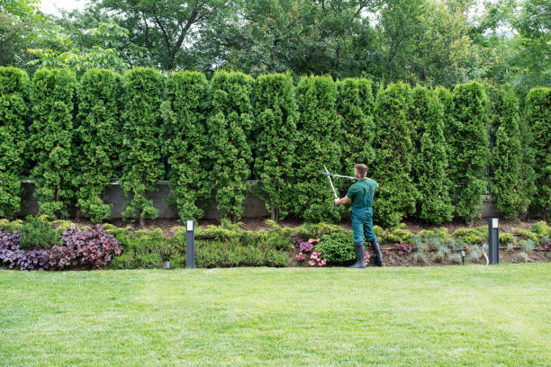 Trusted Croydon, PA Tree Removal and Landscaping Services Experts